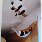 chambre6